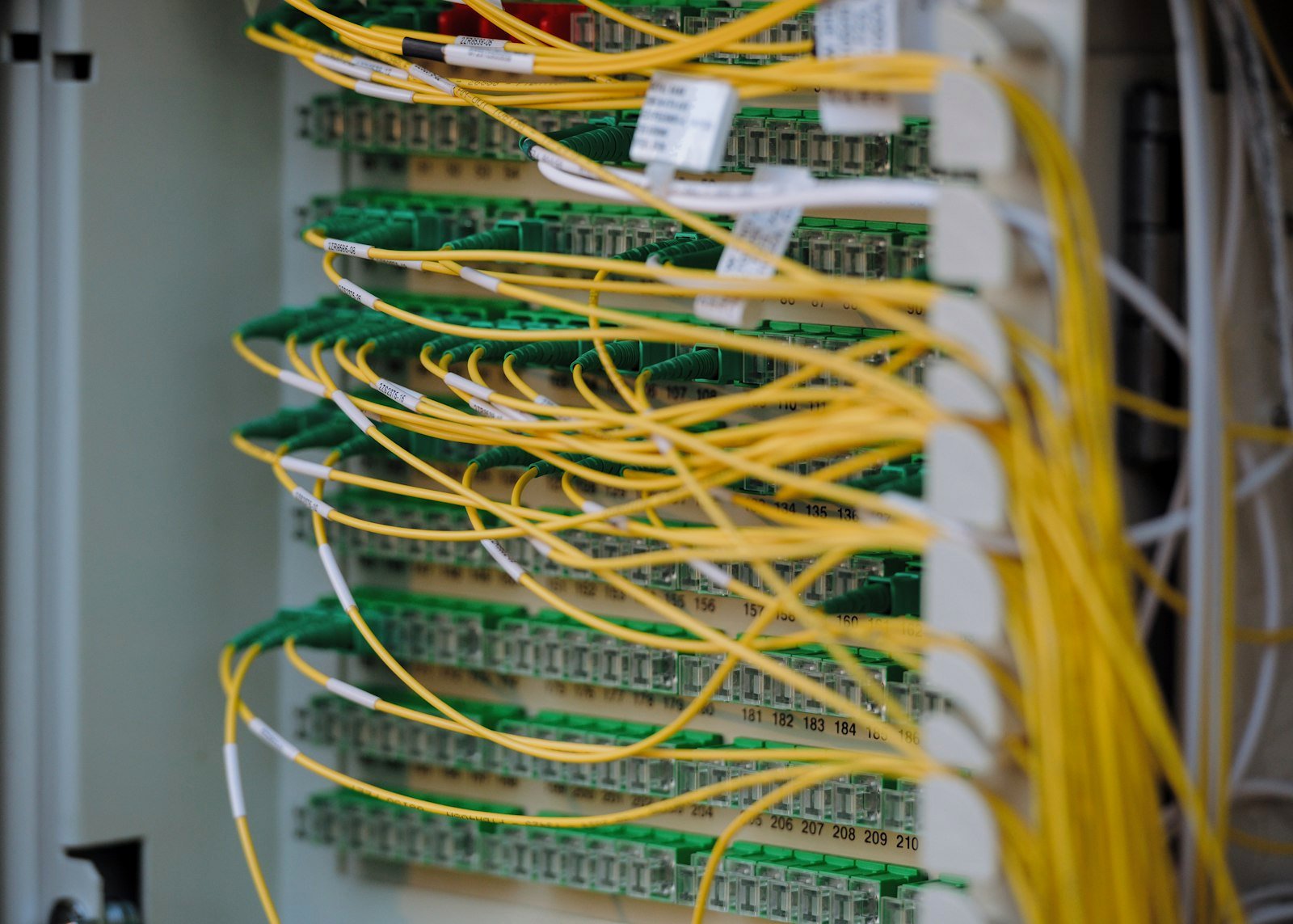 Câbles de fibre optique raccordés dans une armoire réseau